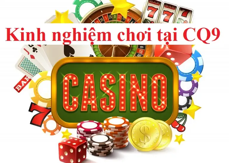 Khám phá thú vị về cuộc đối đầu giữa Miu VS Cún và những điều bạn chưa biết về Miu VS Cún